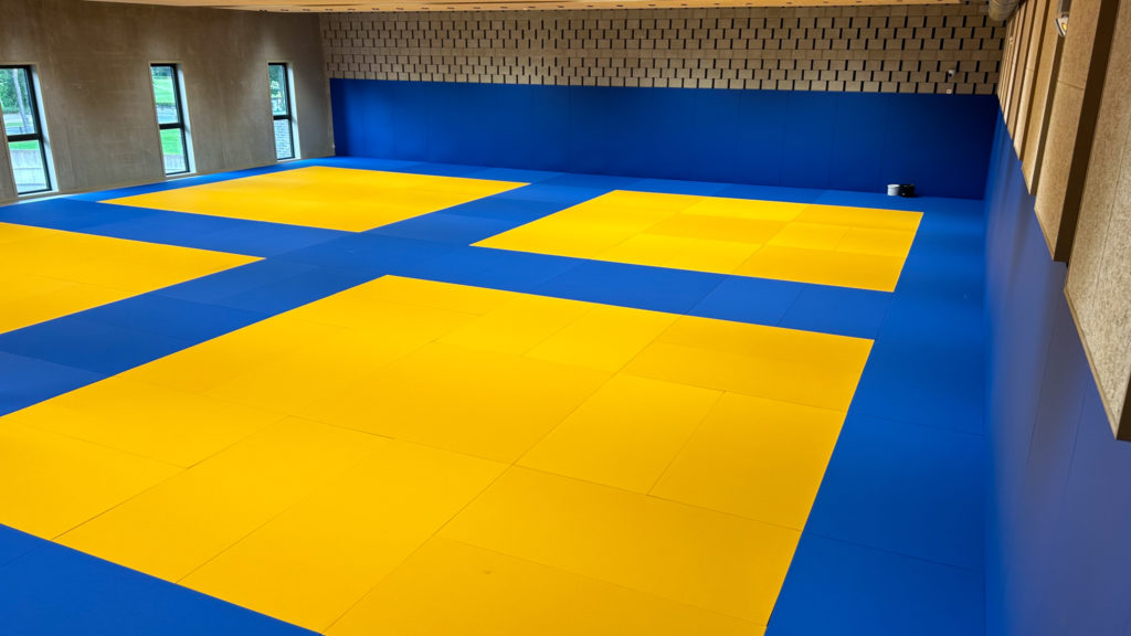 Martial arts mats in dojo